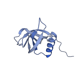 40708_8sqk_G_v1-0
SARS-CoV-2 replication-transcription complex bound to RNA-nsp9 and GDP-betaS, as a pre-catalytic deRNAylation/mRNA capping intermediate