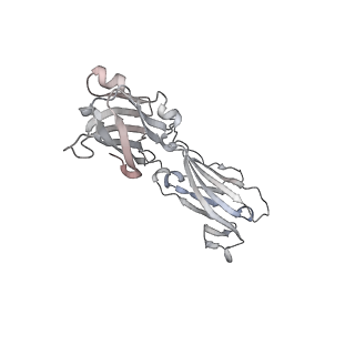 40711_8sqn_A_v1-0
CryoEM structure of Western equine encephalitis virus VLP in complex with the chimeric Du-D1-Mo-D2 MXRA8 receptor
