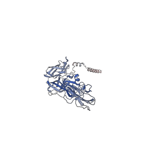 40711_8sqn_B_v1-0
CryoEM structure of Western equine encephalitis virus VLP in complex with the chimeric Du-D1-Mo-D2 MXRA8 receptor
