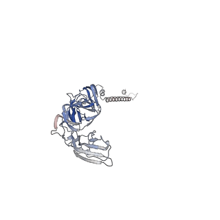40711_8sqn_D_v1-0
CryoEM structure of Western equine encephalitis virus VLP in complex with the chimeric Du-D1-Mo-D2 MXRA8 receptor