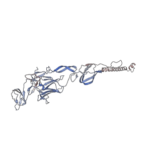 40711_8sqn_H_v1-0
CryoEM structure of Western equine encephalitis virus VLP in complex with the chimeric Du-D1-Mo-D2 MXRA8 receptor