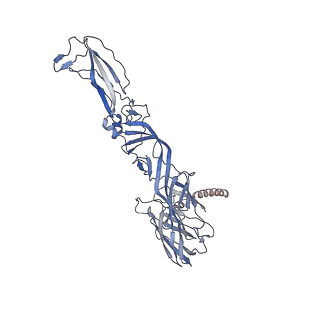 40711_8sqn_J_v1-0
CryoEM structure of Western equine encephalitis virus VLP in complex with the chimeric Du-D1-Mo-D2 MXRA8 receptor
