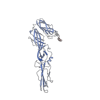 40711_8sqn_N_v1-0
CryoEM structure of Western equine encephalitis virus VLP in complex with the chimeric Du-D1-Mo-D2 MXRA8 receptor
