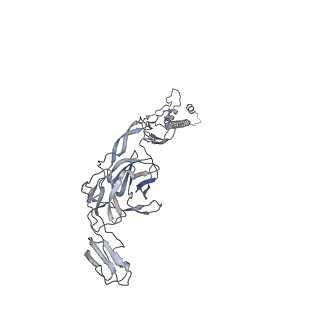 40711_8sqn_P_v1-0
CryoEM structure of Western equine encephalitis virus VLP in complex with the chimeric Du-D1-Mo-D2 MXRA8 receptor
