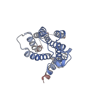 25401_7srq_R_v1-2
5-HT2B receptor bound to LSD obtained by cryo-electron microscopy (cryoEM)