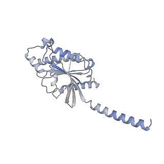 25402_7srr_B_v1-2
5-HT2B receptor bound to LSD in complex with heterotrimeric mini-Gq protein obtained by cryo-electron microscopy (cryoEM)