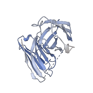 25402_7srr_E_v1-2
5-HT2B receptor bound to LSD in complex with heterotrimeric mini-Gq protein obtained by cryo-electron microscopy (cryoEM)
