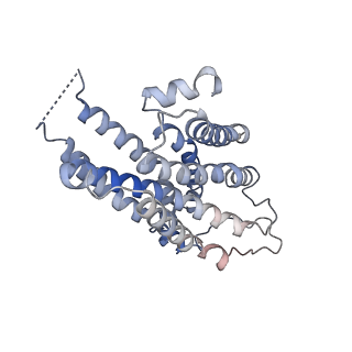 25402_7srr_R_v1-2
5-HT2B receptor bound to LSD in complex with heterotrimeric mini-Gq protein obtained by cryo-electron microscopy (cryoEM)