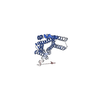 25403_7srs_R_v1-2
5-HT2B receptor bound to LSD in complex with beta-arrestin1 obtained by cryo-electron microscopy (cryoEM)