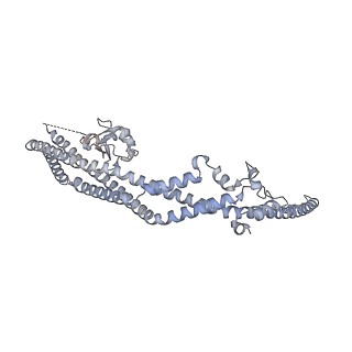 40735_8srm_A_v1-0
Structure of human ULK1 complex core (2:2:2 stoichiometry) of the ATG13(450-517) mutant