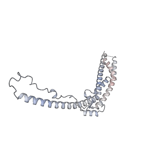 40735_8srm_B_v1-0
Structure of human ULK1 complex core (2:2:2 stoichiometry) of the ATG13(450-517) mutant