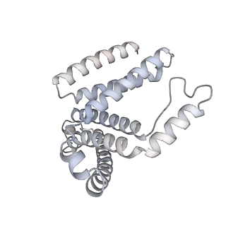 40735_8srm_D_v1-0
Structure of human ULK1 complex core (2:2:2 stoichiometry) of the ATG13(450-517) mutant