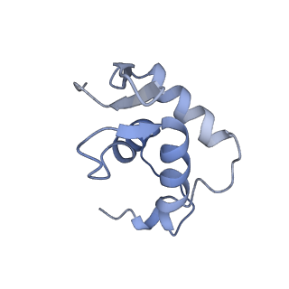 40736_8sro_B_v1-2
FoxP3 tetramer on TTTG repeats