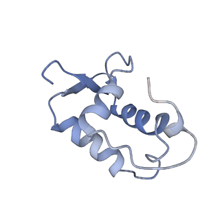 40736_8sro_C_v1-2
FoxP3 tetramer on TTTG repeats