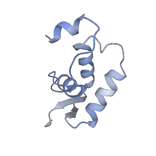 40737_8srp_A_v1-2
FoxP3 forms Ladder-like multimer to bridge TTTG repeats