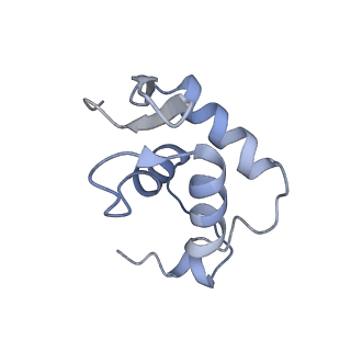 40737_8srp_B_v1-2
FoxP3 forms Ladder-like multimer to bridge TTTG repeats