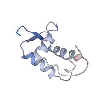 40737_8srp_C_v1-2
FoxP3 forms Ladder-like multimer to bridge TTTG repeats