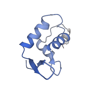 40737_8srp_D_v1-2
FoxP3 forms Ladder-like multimer to bridge TTTG repeats
