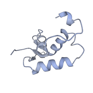 40737_8srp_F_v1-2
FoxP3 forms Ladder-like multimer to bridge TTTG repeats
