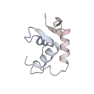 40737_8srp_G_v1-2
FoxP3 forms Ladder-like multimer to bridge TTTG repeats