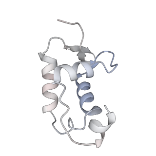 40737_8srp_H_v1-2
FoxP3 forms Ladder-like multimer to bridge TTTG repeats