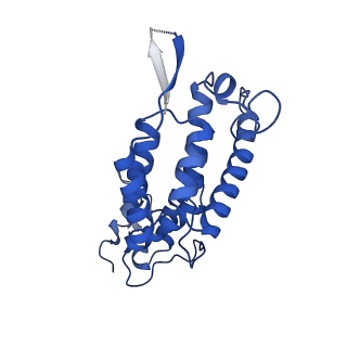 10296_6ssk_A_v1-0
Human endogenous retrovirus (HML2) mature capsid assembly, D5 capsule
