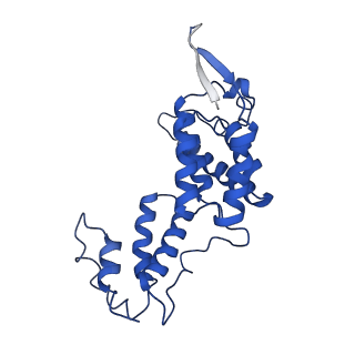 10296_6ssk_B_v1-0
Human endogenous retrovirus (HML2) mature capsid assembly, D5 capsule