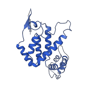 10296_6ssk_C_v1-0
Human endogenous retrovirus (HML2) mature capsid assembly, D5 capsule
