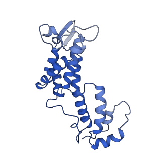 10296_6ssk_D_v1-0
Human endogenous retrovirus (HML2) mature capsid assembly, D5 capsule
