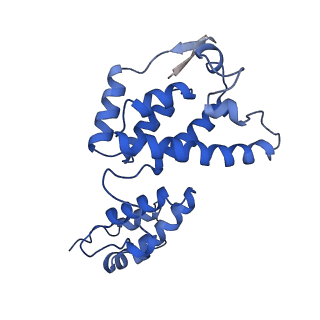 10296_6ssk_E_v1-0
Human endogenous retrovirus (HML2) mature capsid assembly, D5 capsule