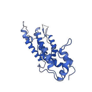 10296_6ssk_F_v1-0
Human endogenous retrovirus (HML2) mature capsid assembly, D5 capsule