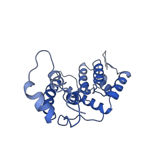 10296_6ssk_H_v1-0
Human endogenous retrovirus (HML2) mature capsid assembly, D5 capsule