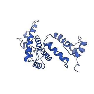 10296_6ssk_I_v1-0
Human endogenous retrovirus (HML2) mature capsid assembly, D5 capsule