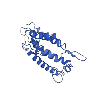 10297_6ssl_A_v1-1
Human endogenous retrovirus (HML2) mature capsid assembly, D6 capsule