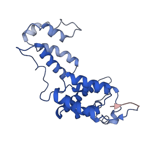 10297_6ssl_B_v1-1
Human endogenous retrovirus (HML2) mature capsid assembly, D6 capsule