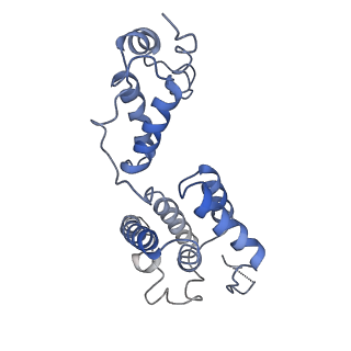 10297_6ssl_D_v1-1
Human endogenous retrovirus (HML2) mature capsid assembly, D6 capsule