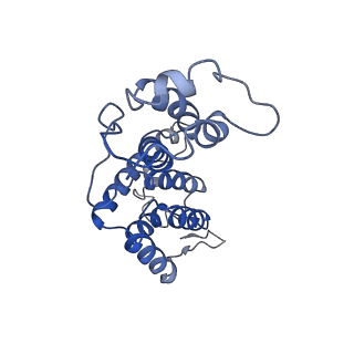 10297_6ssl_E_v1-1
Human endogenous retrovirus (HML2) mature capsid assembly, D6 capsule