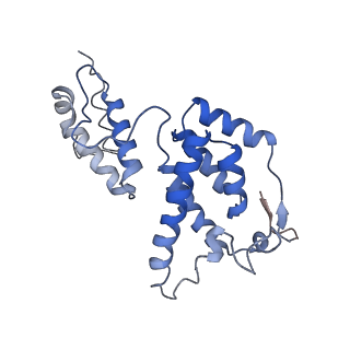 10297_6ssl_F_v1-1
Human endogenous retrovirus (HML2) mature capsid assembly, D6 capsule
