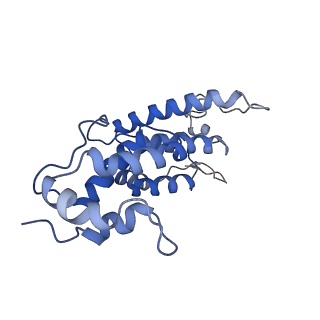 10297_6ssl_G_v1-1
Human endogenous retrovirus (HML2) mature capsid assembly, D6 capsule