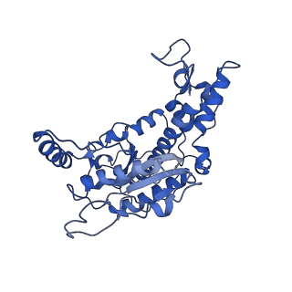 25404_7ss5_B_v1-1
Activated SgrAI endonuclease DNA-bound dimer with Ca2+ and intact primary site DNA