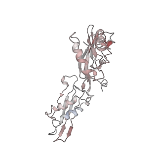 25405_7ss9_8_v1-0
Late translocation intermediate with EF-G partially dissociated (Structure V)