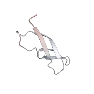 25405_7ss9_C_v1-0
Late translocation intermediate with EF-G partially dissociated (Structure V)