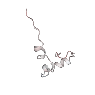 25405_7ss9_D_v1-0
Late translocation intermediate with EF-G partially dissociated (Structure V)