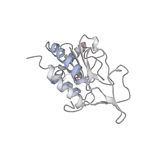 25405_7ss9_G_v1-0
Late translocation intermediate with EF-G partially dissociated (Structure V)