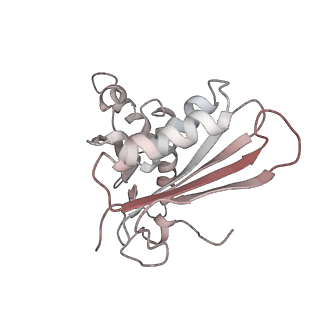 25405_7ss9_H_v1-0
Late translocation intermediate with EF-G partially dissociated (Structure V)