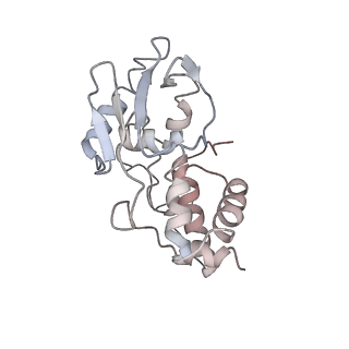 25405_7ss9_I_v1-0
Late translocation intermediate with EF-G partially dissociated (Structure V)