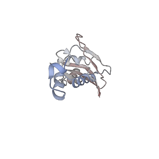 25405_7ss9_J_v1-0
Late translocation intermediate with EF-G partially dissociated (Structure V)