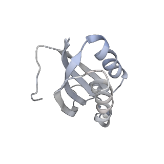 25405_7ss9_K_v1-0
Late translocation intermediate with EF-G partially dissociated (Structure V)