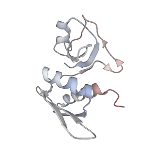 25405_7ss9_M_v1-0
Late translocation intermediate with EF-G partially dissociated (Structure V)