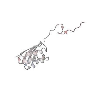25405_7ss9_N_v1-0
Late translocation intermediate with EF-G partially dissociated (Structure V)